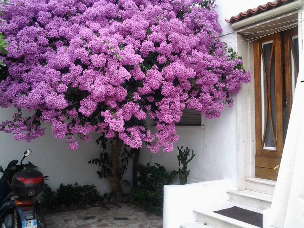 Villa Lea Viareggio Zimmer foto